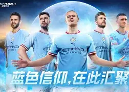 德罗巴巅峰对决，费德勒与60激战阿森纳分钟，突破纪录胜负难料！的简单介绍